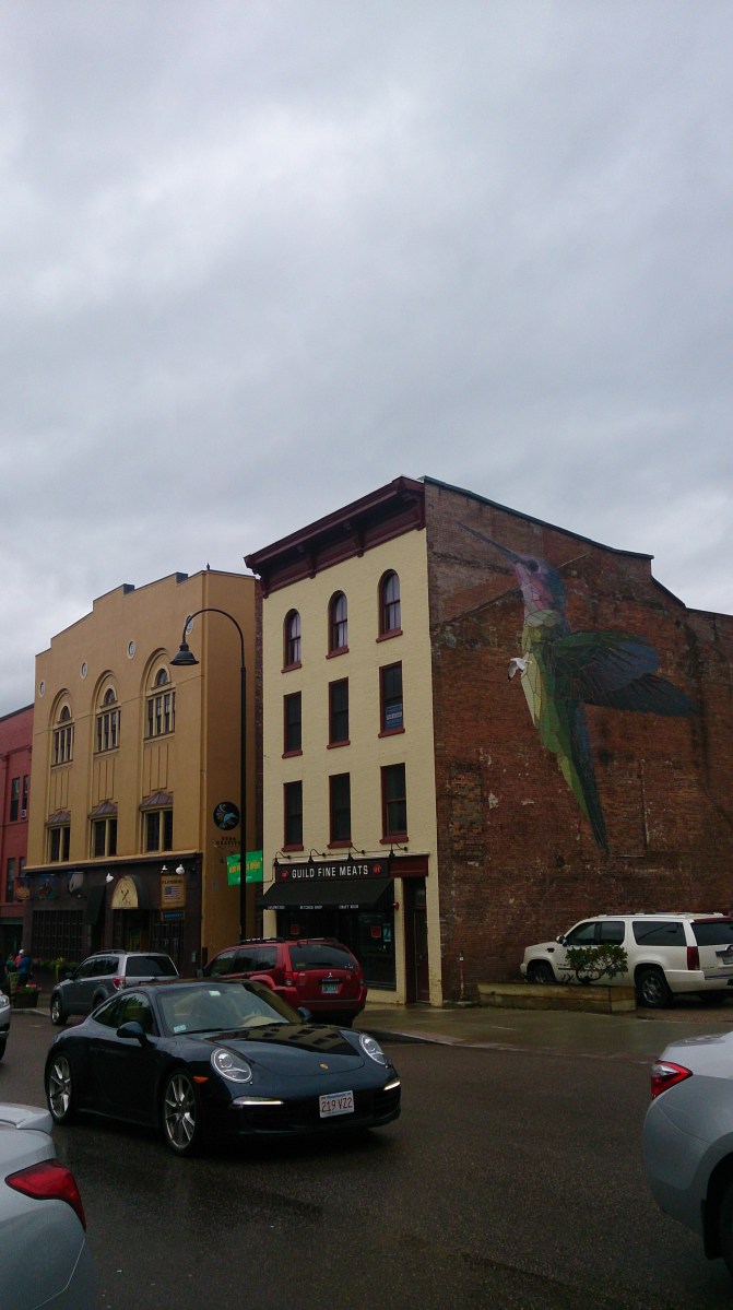 alt="Burlington Wall Hummingbird"