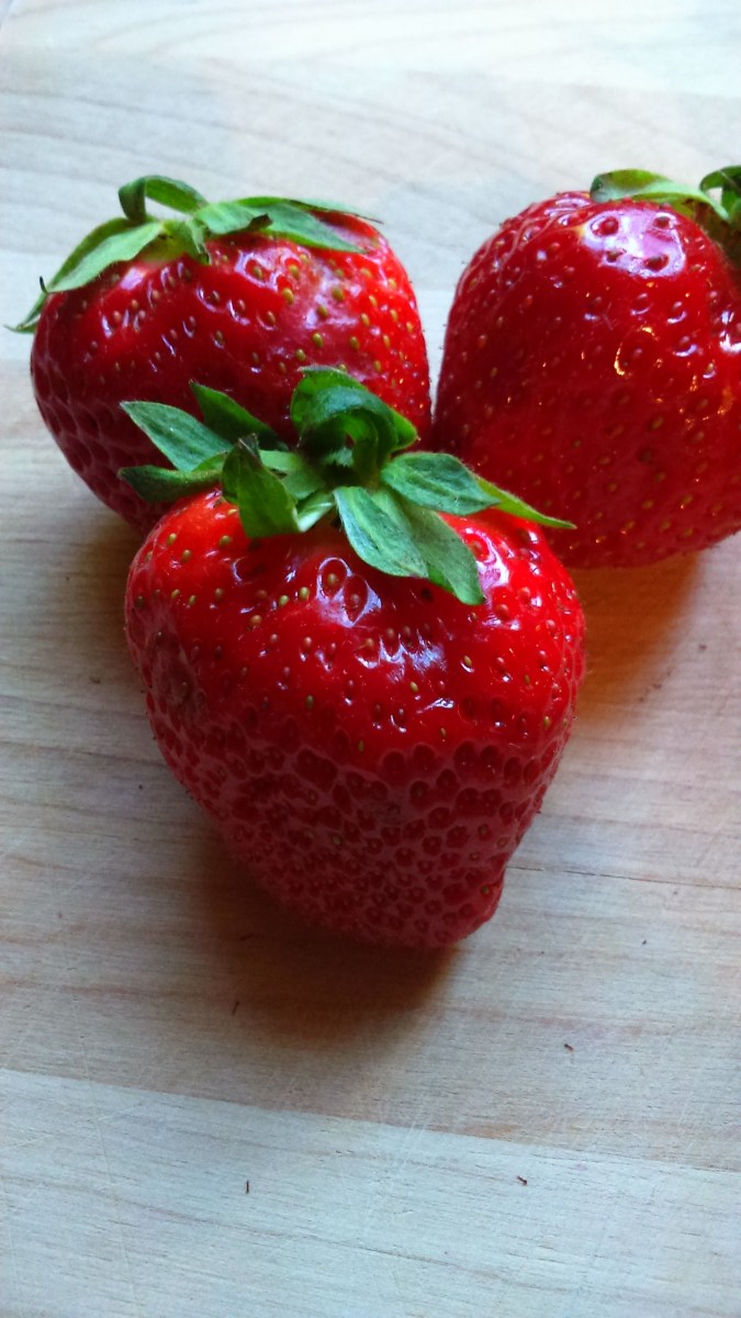 alt="Fraises bio du Québec"